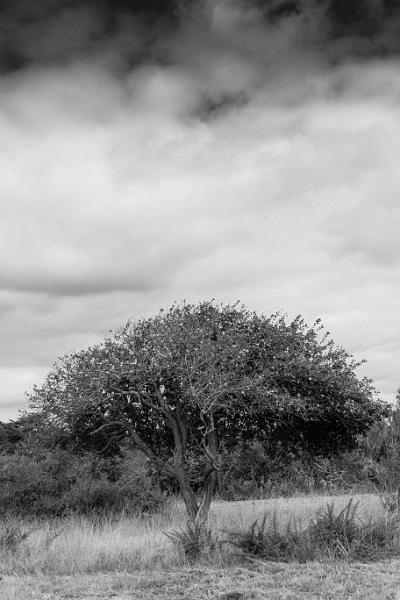 2019_09_13_Bretagne (0044).jpg - Locmariaquer (Morbihan septembre 2019)